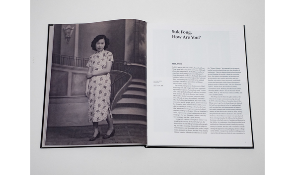 Big image occupying chinatown book 3