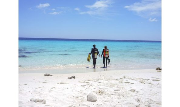 Big image buddy dive shore buddies