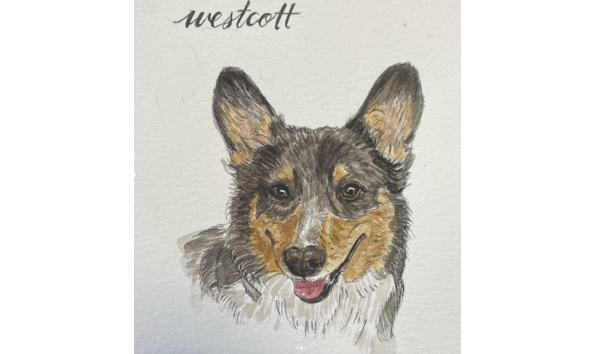 Big image screen shot 2024 11 27 at 9.49.26 pm