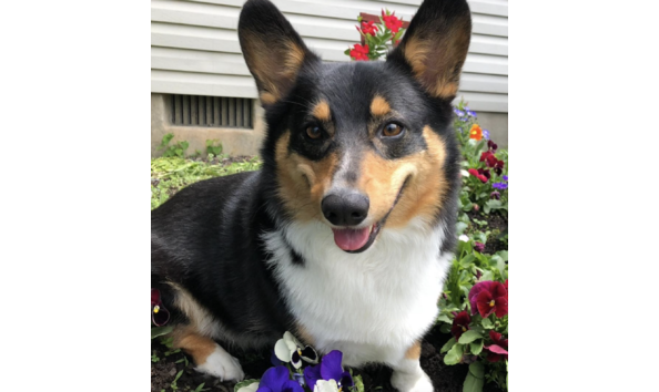 Big image screen shot 2024 11 27 at 9.50.13 pm