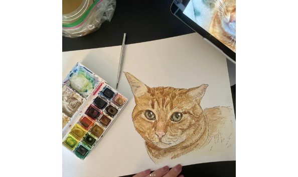 Big image screen shot 2024 11 27 at 9.55.09 pm