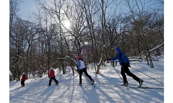 Big image dsc 0169 pr 540x