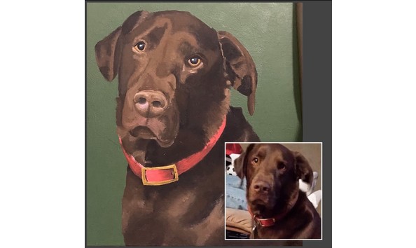 Big image screenshot 2024 11 29 100654