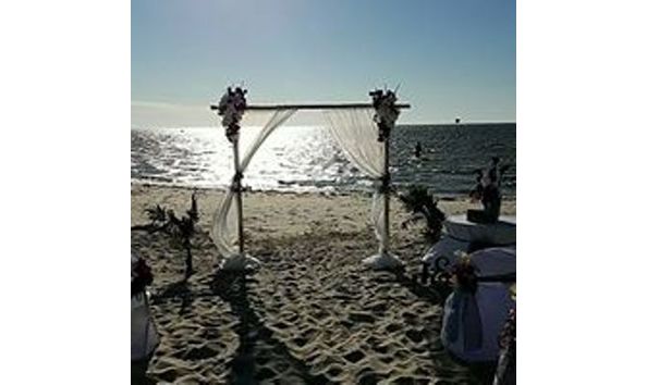 Big image celebrations by carrie