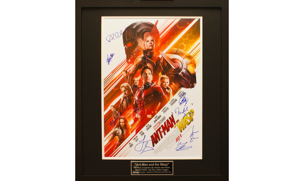 Big image ant man and the wasp