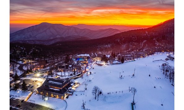 Big image wintergreen