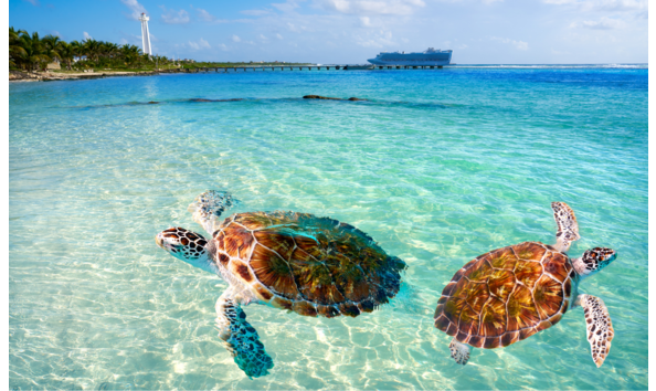 Big image mexico caribbean resort collection 1