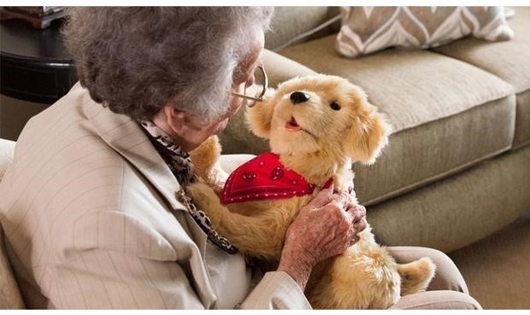 Big image big image dog and client