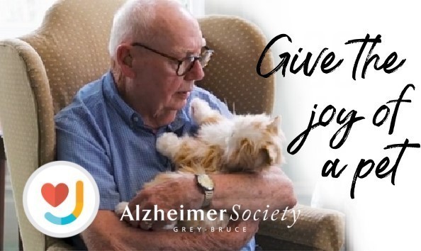 Big image big image give the joy of a pet picture