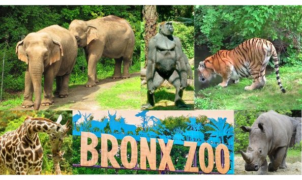 Big image maxresdefault