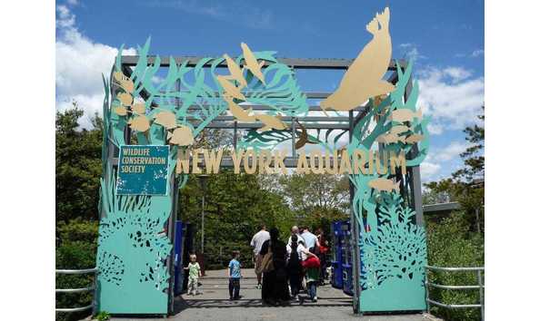 Big image new york aquarium brooklyn new york 74a1562017ad4dcd9e9c3f0e58229b02 c