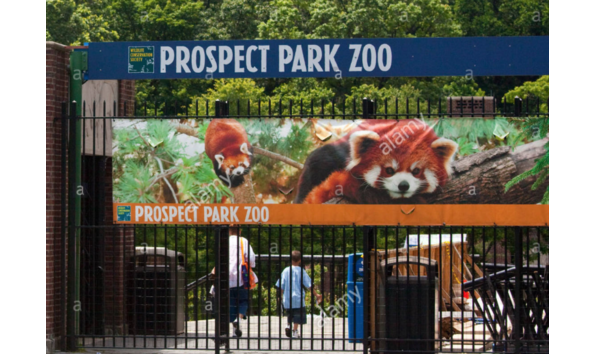 Big image screen shot 2018 03 30 at 2.00.34 pm