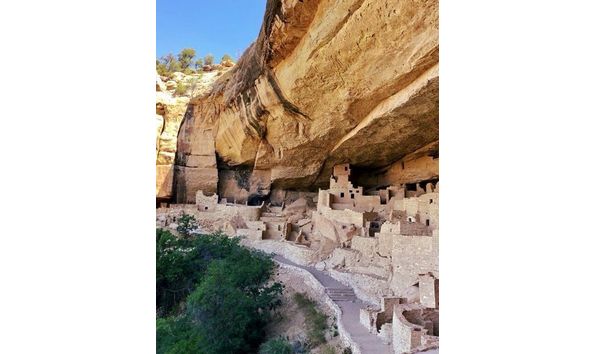 Big image mini magick20250106 3150 10gn49