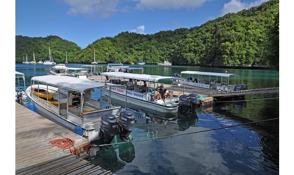 Big image mini magick20250108 3150 ltsi90