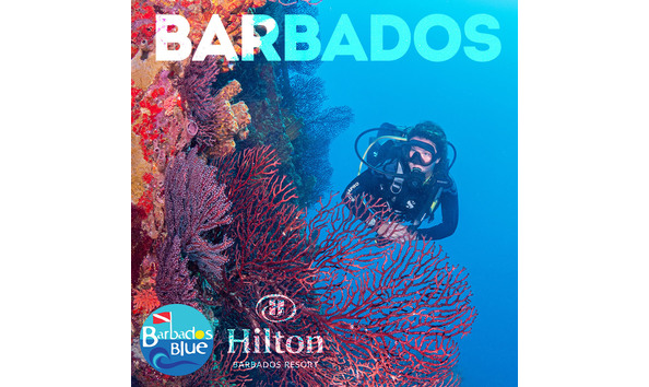 Big image mini magick20250108 3150 xx37ug