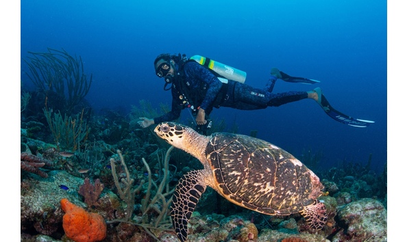 Big image mini magick20250108 3150 1e2xb7k