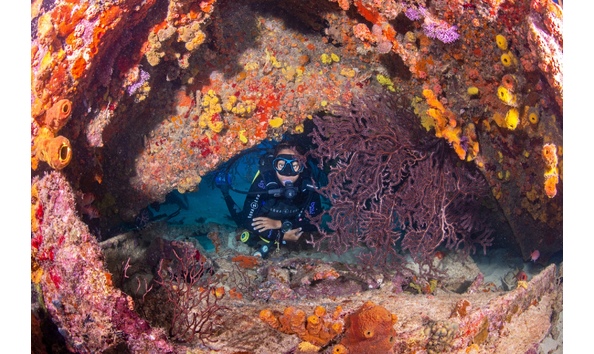 Big image mini magick20250108 3150 11xvgwt