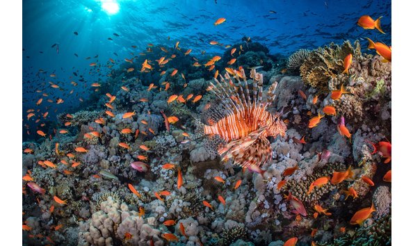 Big image mini magick20250108 3150 1cv3ujw