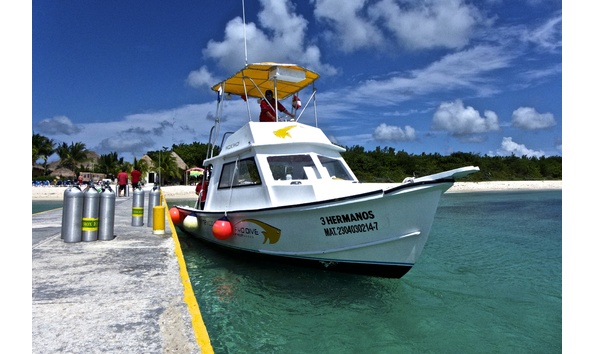 Big image mini magick20250108 3150 131wm8r