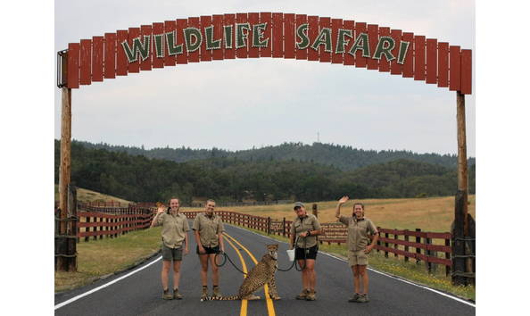 Big image wlidlife safara