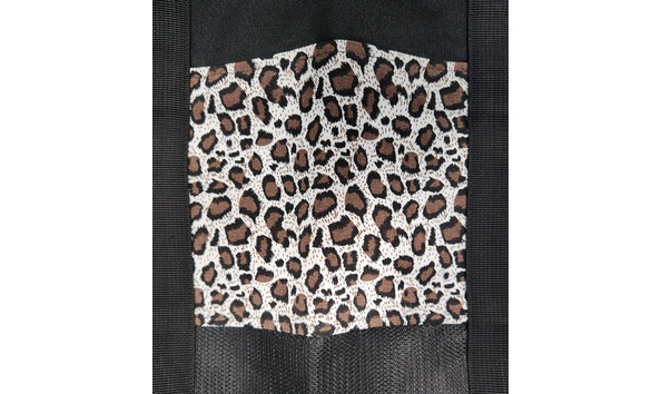 Big image 20250110 132335