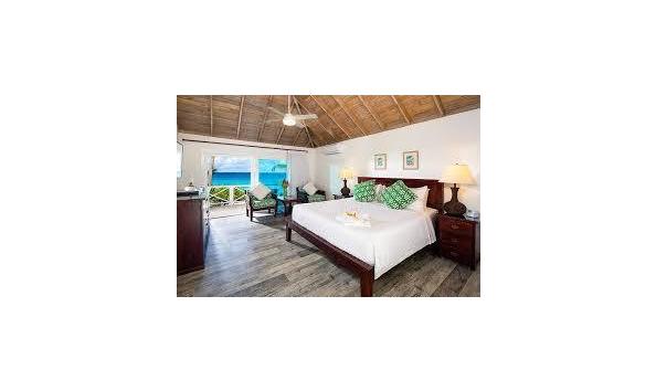 Big image download 2