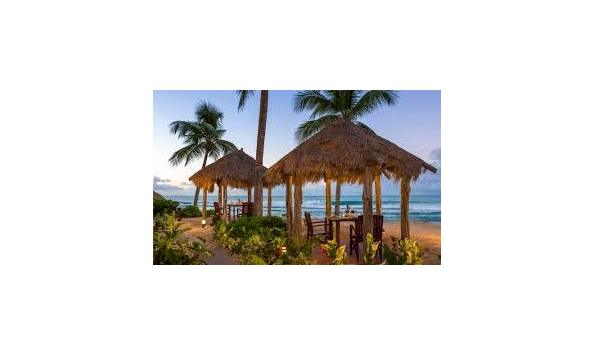 Big image download 3