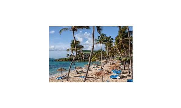 Big image download 2