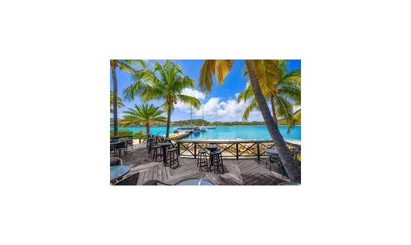 Big image download 1