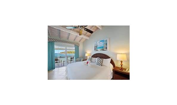 Big image download 2