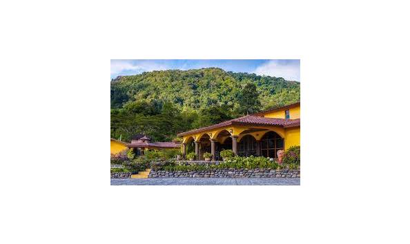 Big image download 2