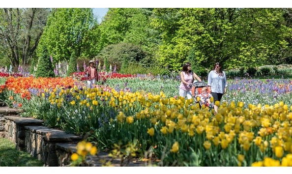 Big image spring blooms at longwood gardens