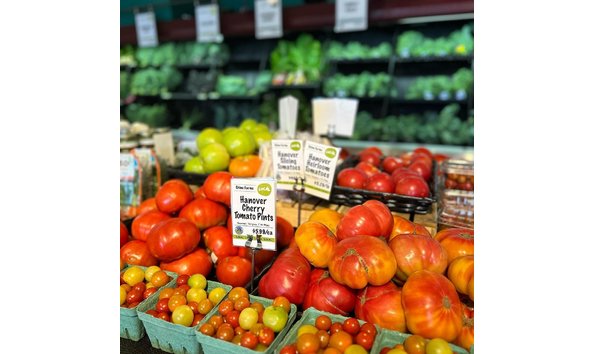 Big image ellwoodimage asset  2 