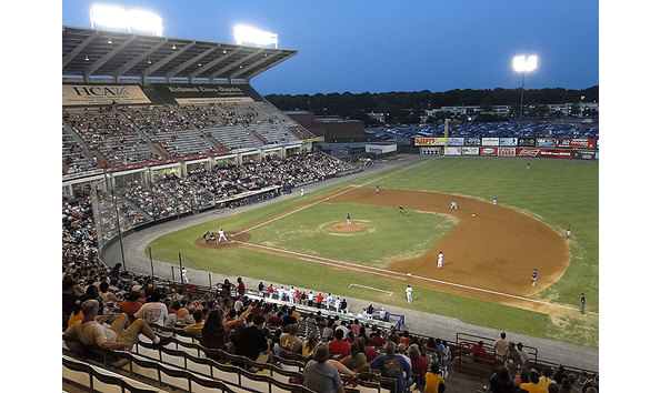 Big image squirrelrichmond  2 