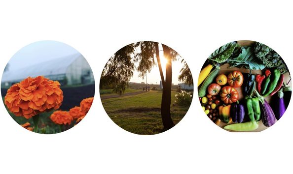 Big image 1 1400x462