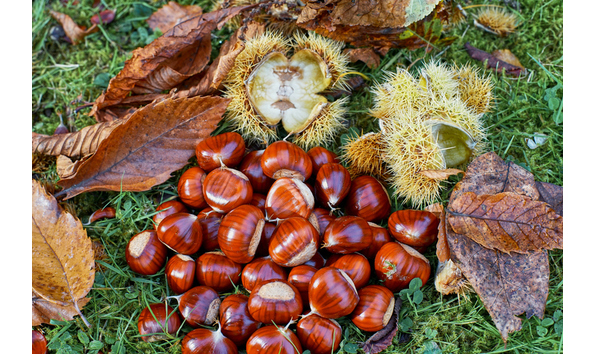 Big image istock 1280173181