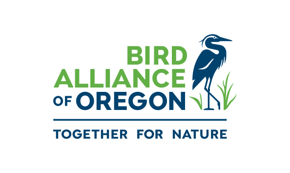 Big image bao logo color