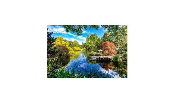 Big image lewisginterbotanical123  2 