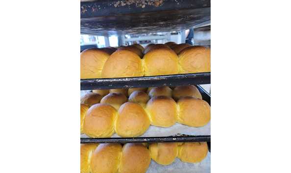 Big image montanaabc315874185 581271277334003 5544152546474511063 n