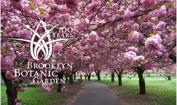 Big image big image c700x420