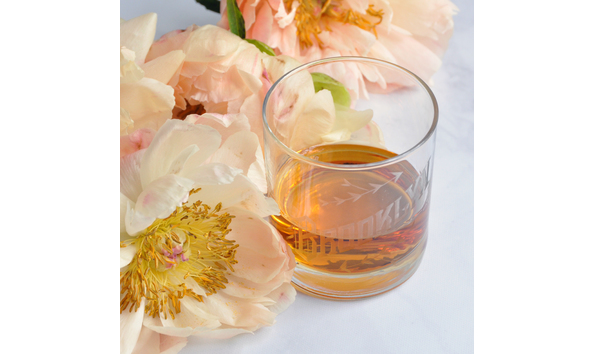 Big image dsc 2605  1 