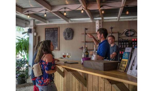 Big image ingleside vineyards imgb