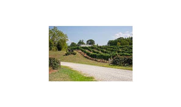 Big image inglesidexxxdownload  2 