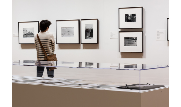 Big image vmfafbwno1vweaqx5xt