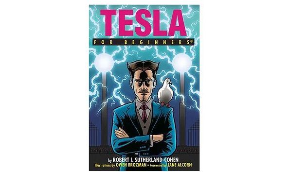 Big image tesla for beginners