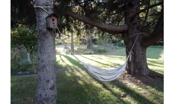 Big image screen shot 2018 03 31 at 8.14.36 pm