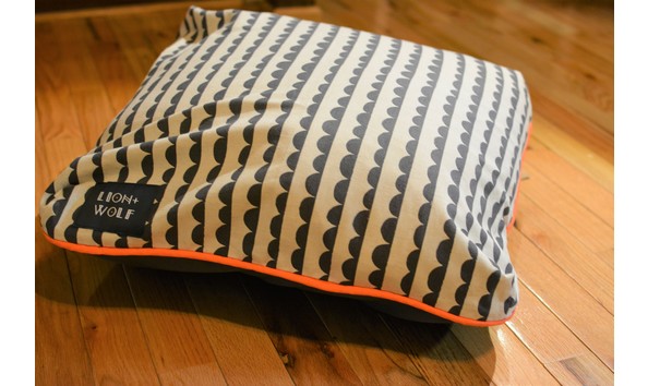 Big image lion   wolf