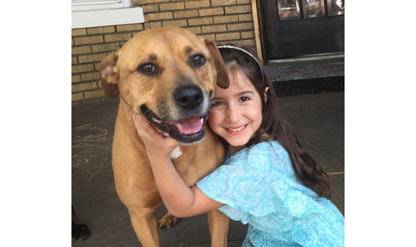 Big image brooke newberger   dog walker