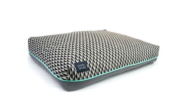 Big image lion   wolf web