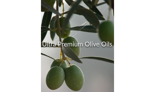 Big image o live brooklyn 2